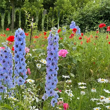 아파트 Schmetterlingsgarten