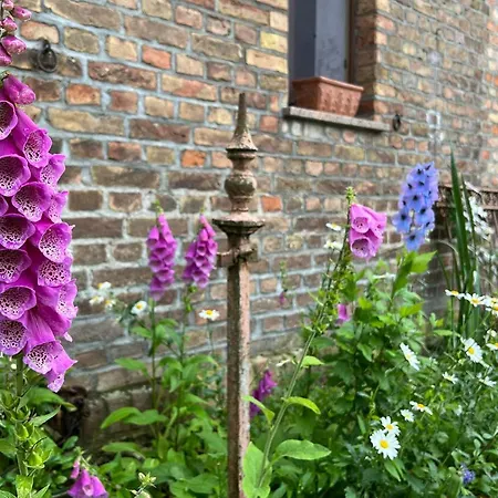 Schmetterlingsgarten 아파트