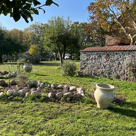 Schmetterlingsgarten Jakobshagen