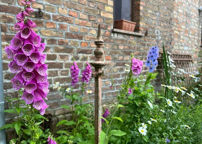 Schmetterlingsgarten Lägenhet